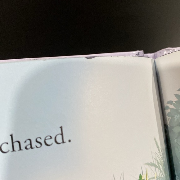 Disney Bunnies: Thumper Finds A Friend - Hardcover Children’s Book - Picture 10 of 11